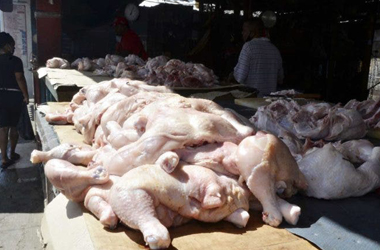 Ante aumento de demanda Avicultores importarán ocho millones de libras de pollo