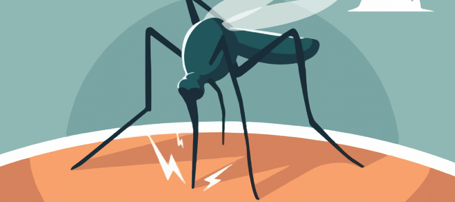 La Romana es la 4ta provincia de la lista de casos de dengue reportados en Salud Publica