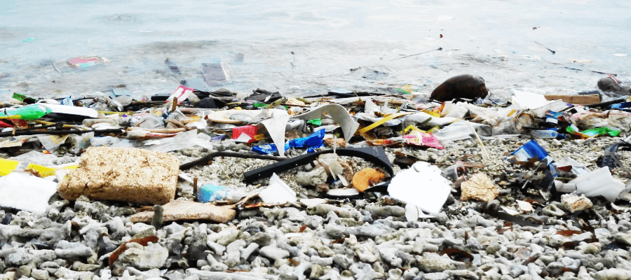 Incumplimiento de Prohibición de Plásticos en Isla Saona Un Desafío para la Sostenibilidad Ambiental