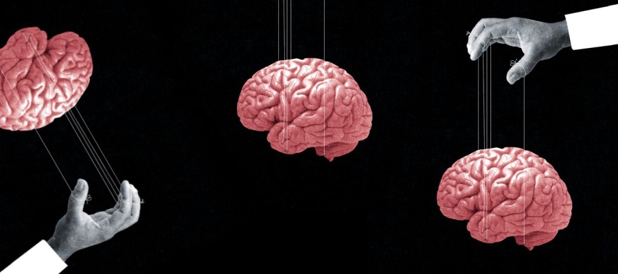 Descifrando los Misterios del Cerebro Humano Curiosidades Asombrosas